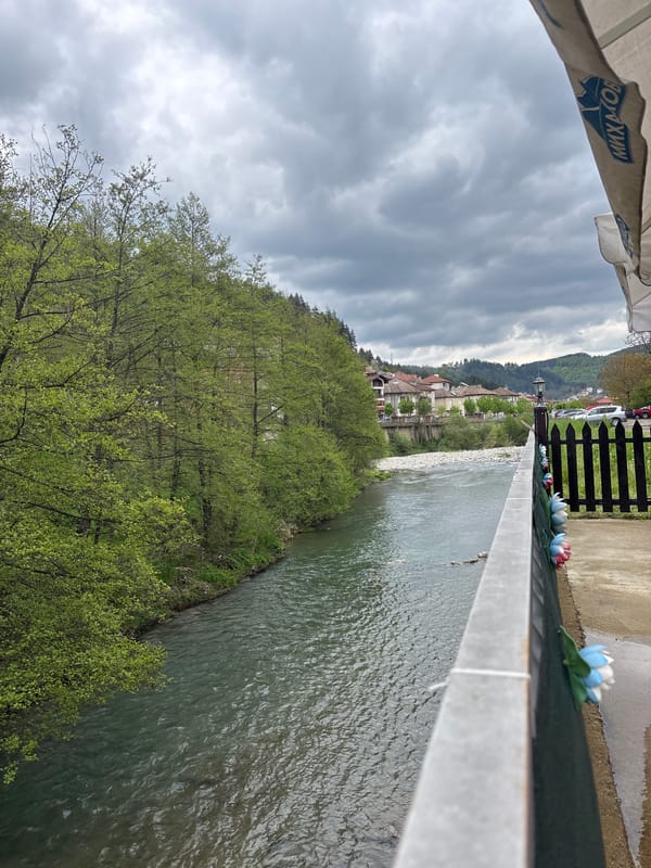 Everyday scenes documented across Zlatograd, Bulgaria during midday