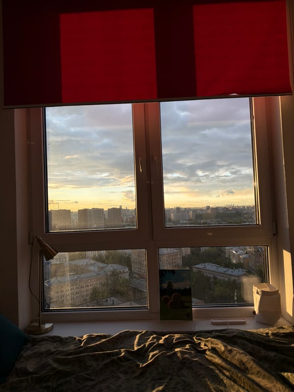 Sunlit apartment interior with city view and Siamese cat