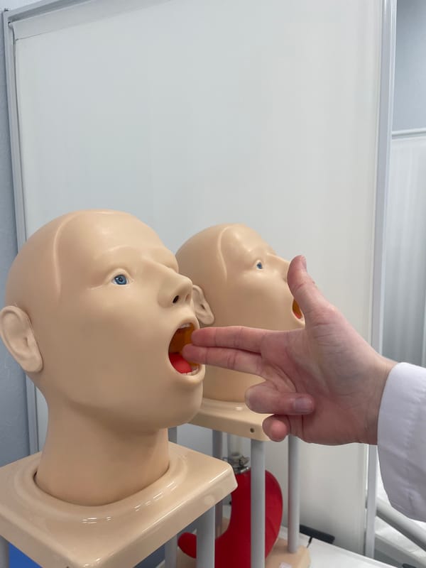 Medical Training With Infant Mannequins Observed During Afternoon Session