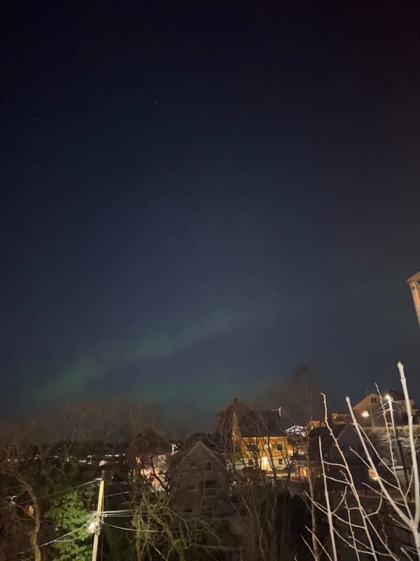 Northern lights spotted over Bergen residential area
