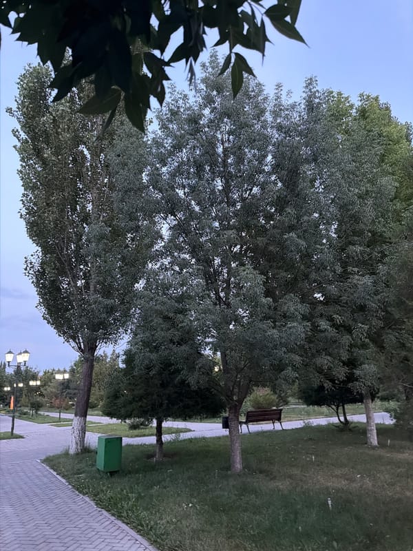 Evening stroll through a Shymkent park at dusk
