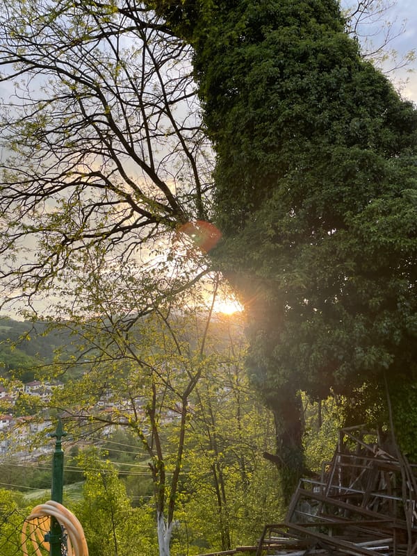 Sunset scenes and dog spotted in Zlatograd, Bulgaria