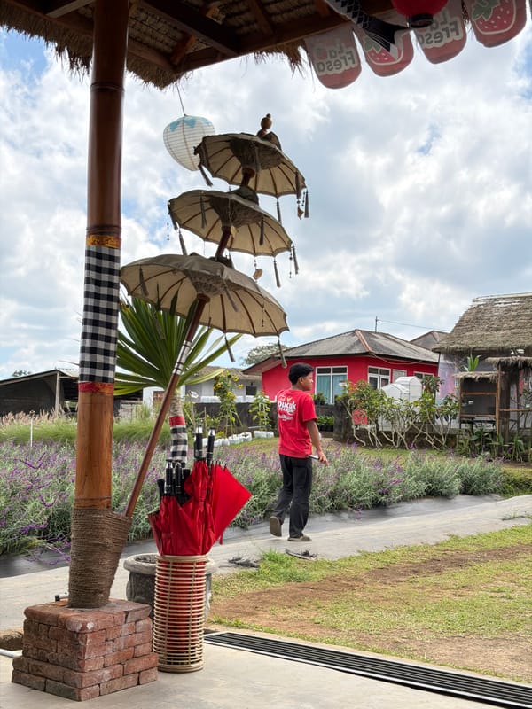 Strawberry farm attraction in Kintamani with pigeons, flowers, and a dog