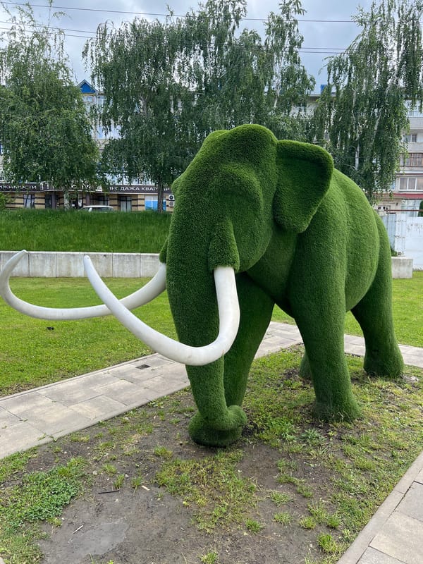 Daily life moments documented across Goryachiy Klyuch parks and streets
