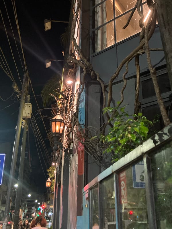 Nighttime urban documentation captures murals, architecture, street scenes