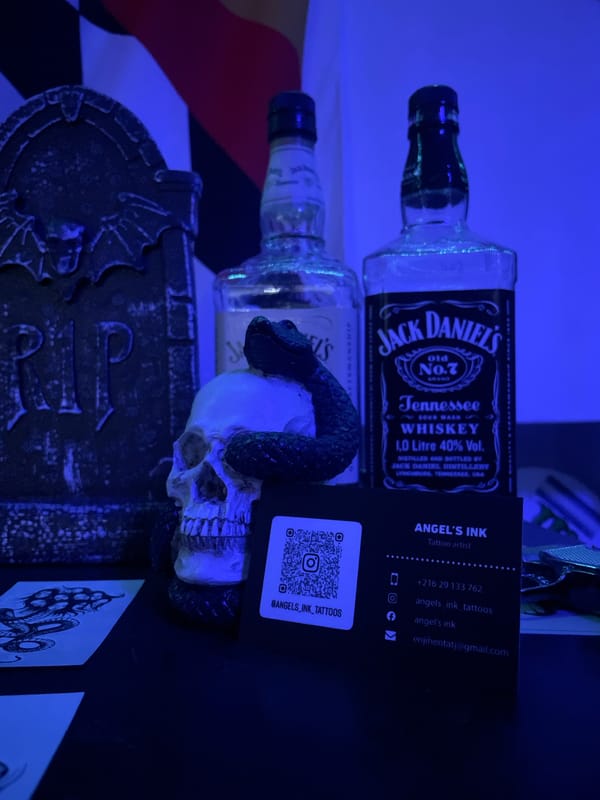 LED-lit room with whiskey bottles, skeleton art documented in Tunisia