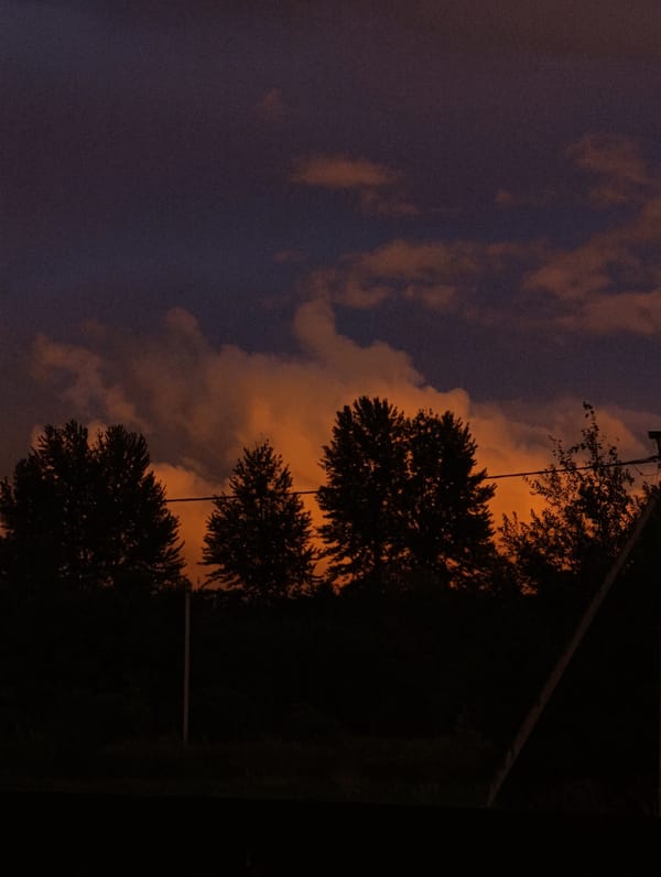 Minsk treeline at sunset, purple and orange skies