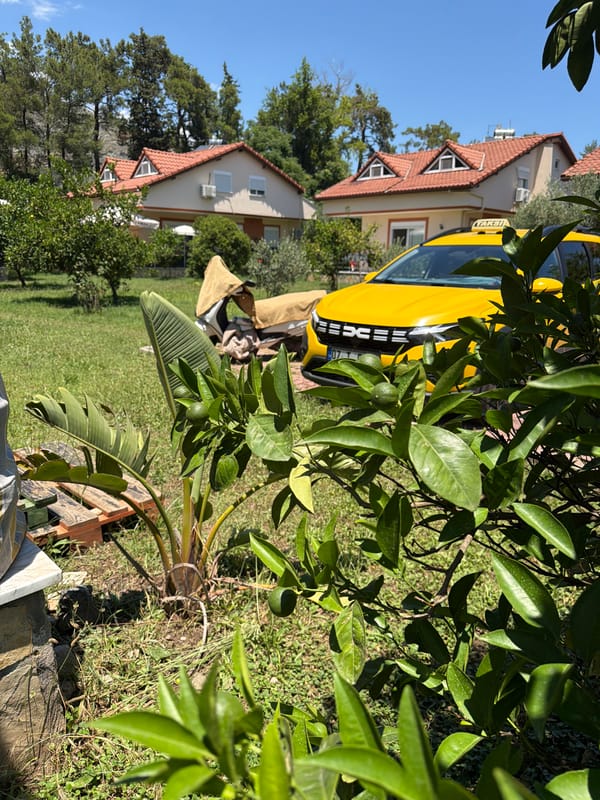 Garden walk through residential neighborhood with flowering plants