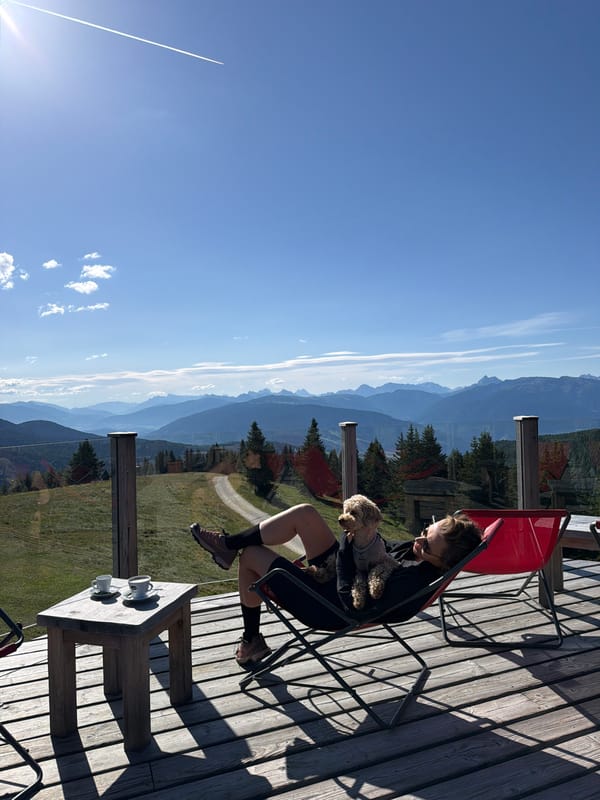 Lazy summer morning on an Alpine farm in South Tyrol
