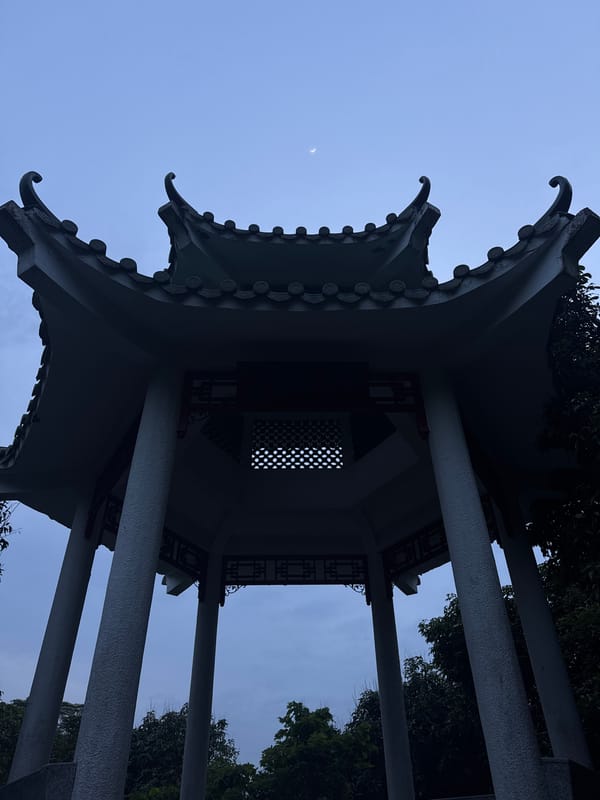 Morning scenes from Futian District parks and skyline