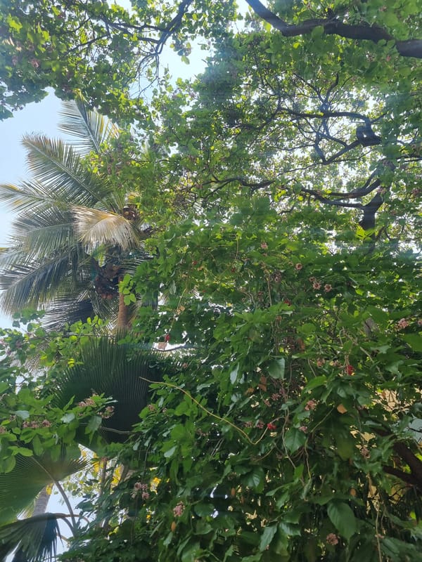 Morning walkthrough captures daily life in Puttaparthi spiritual town