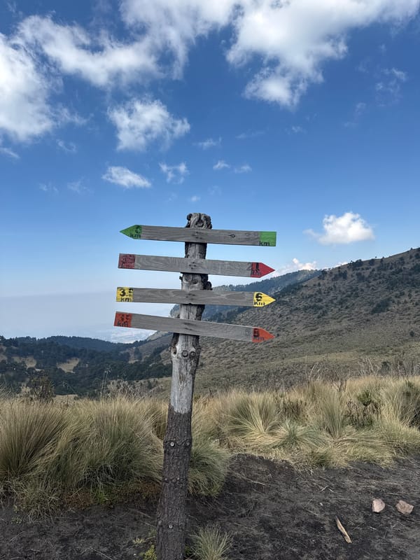 Trail marker with colored directional signs spotted in Tlamacas