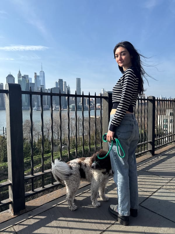 Dog walker enjoys Manhattan skyline views from Brooklyn waterfront