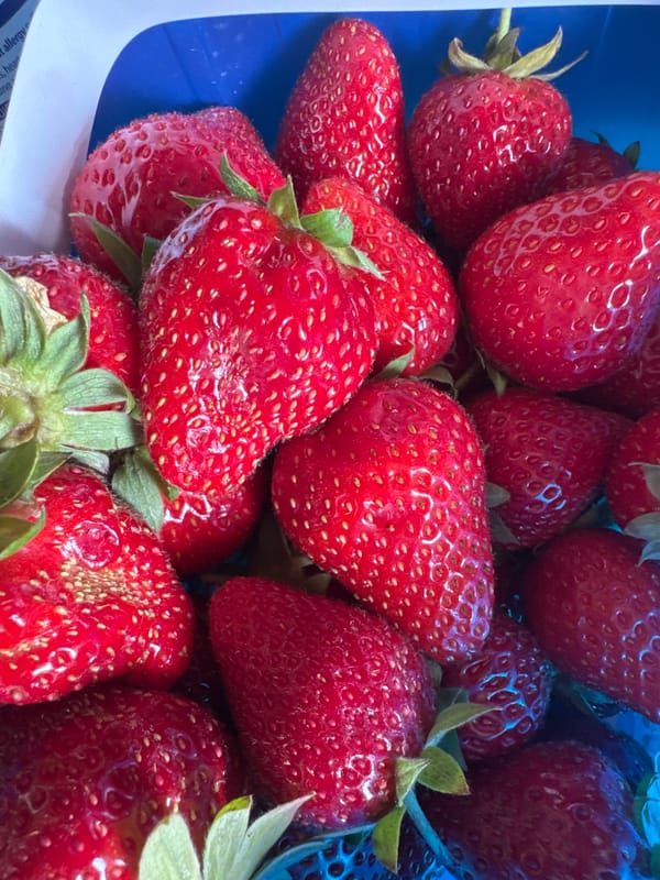 Fresh strawberries in a blue punnet, London summer