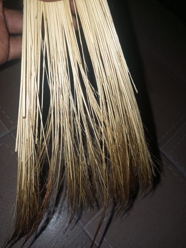 Dried reed bundle held up in low-light, Tempure Nigeria