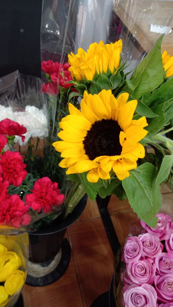 Flower vendor sells bouquets and music books in Yerevan