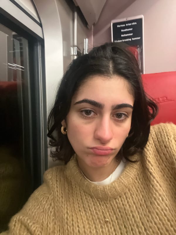 Woman passenger observed on train near Avelin, France