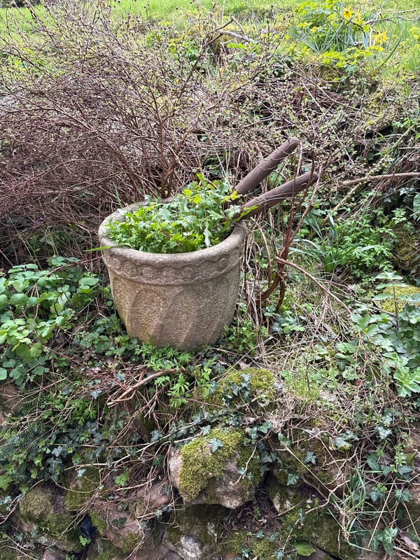Rural decay documented in Church Pulverbatch countryside scenes