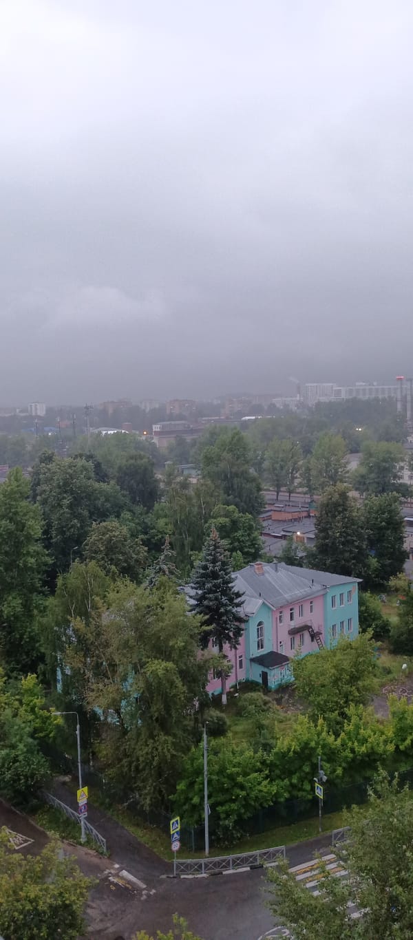 Elevated view over a leafy urban street on an overcast day