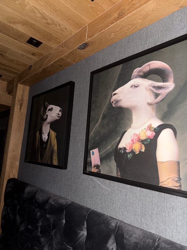 Two framed animal artworks observed on textured gray wall