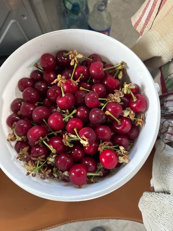 Morning fruit display captured in Odesa kitchen scene