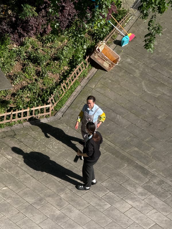 Morning scenes captured around Shapingba District apartment buildings