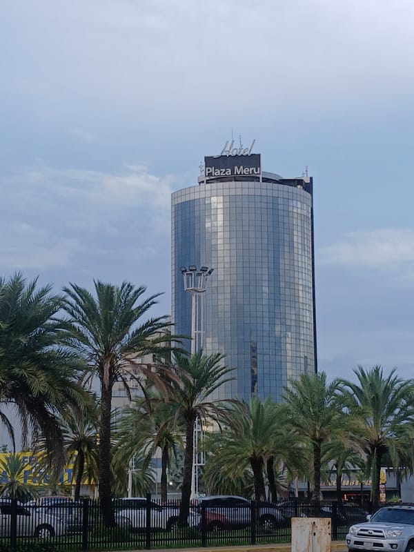 Snapshot of Ciudad Guayana's streets, malls, and landmarks