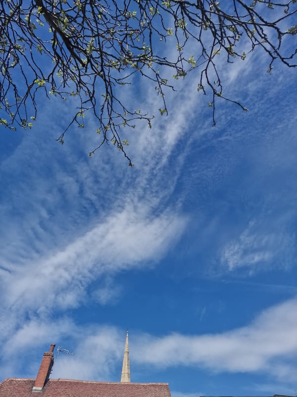 Spring afternoon documented in Lincoln through trees and pub
