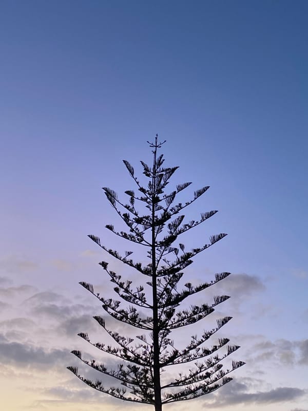 Evening coastal observations recorded in Yaiza, Canary Islands