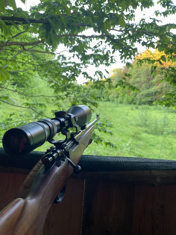 Scoped rifle spotted in hunting blind near Tomašica forest