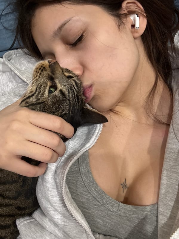 Late night cuddling session with tabby cat in Surgut