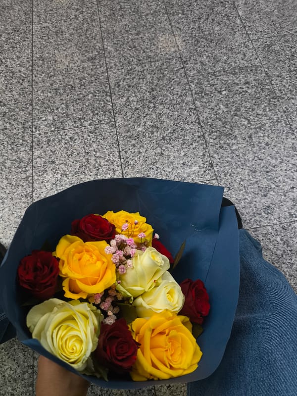 Mixed rose bouquet observed in someone's lap in Entzheim