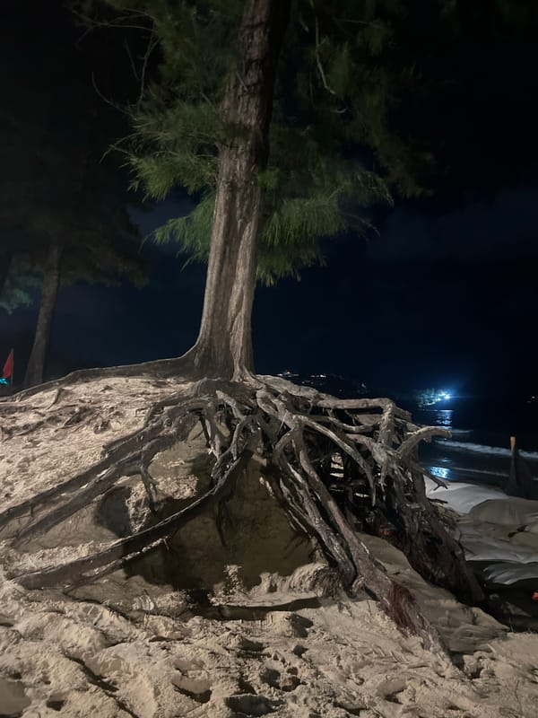 Evening at a Choeng Thale beach club, Phuket