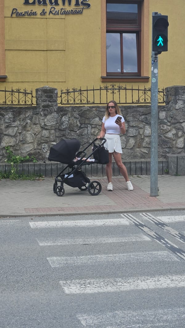 Pedestrians observed during morning hours in Prešov, Slovakia