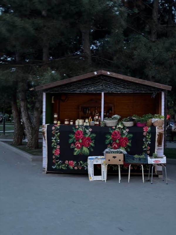 Evening scenes documented across Chișinău, Moldova including markets, parks, food