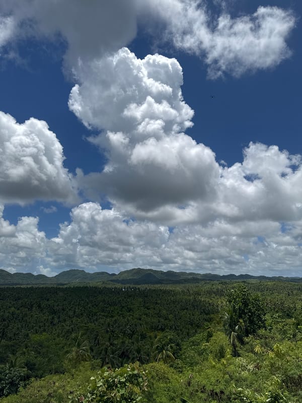 Woman photographs scenic mountain landscape from overlook in Dapa
