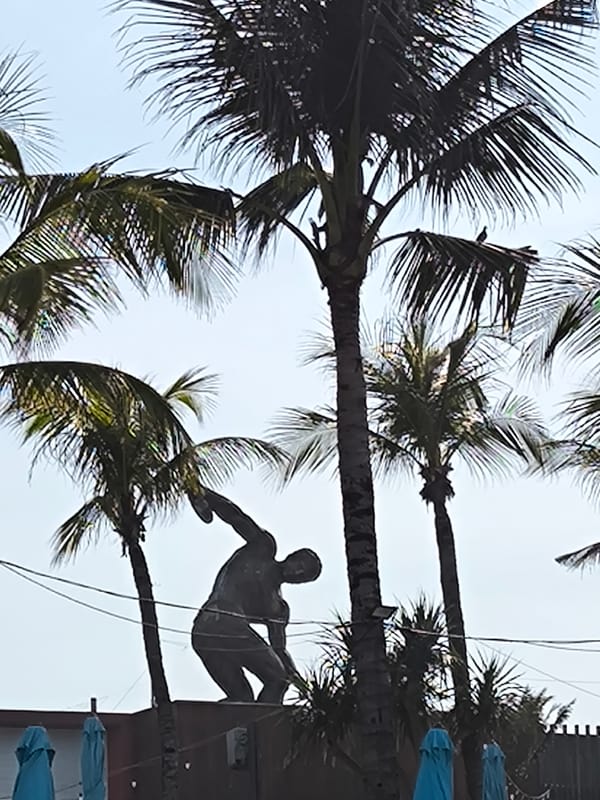 Natural debris observed on Indonesian beaches near Canggu