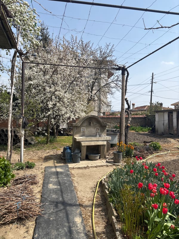 Spring garden scene captured in Banya, Bulgaria