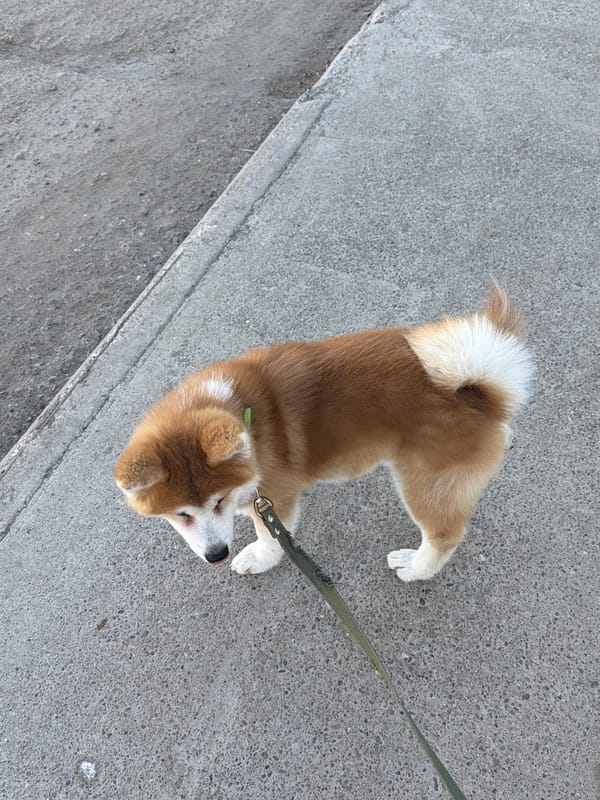 Morning sports facility activities documented in Chaikovsky, Russia