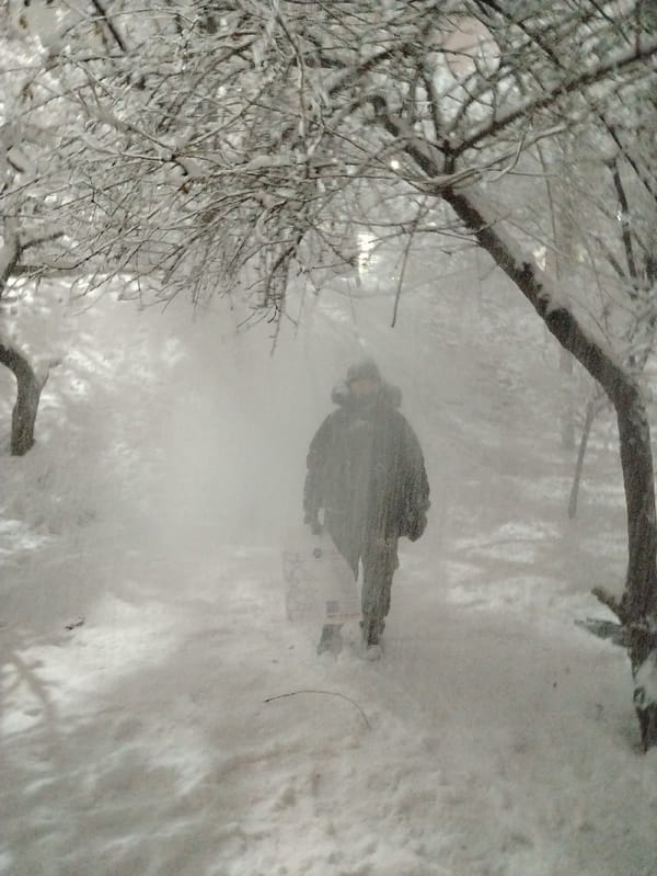 Heavy snowfall blankets Tashkent as residents navigate winter storm