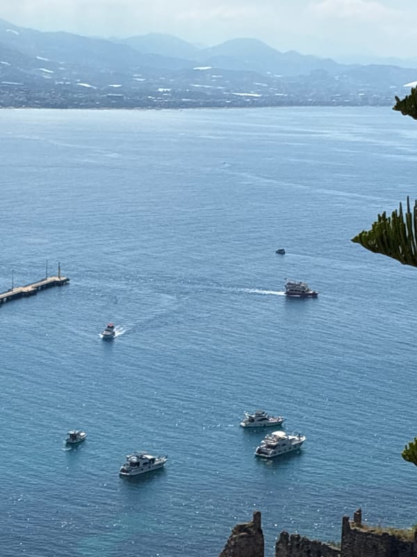 Morning documentation of Alanya coastline and Mediterranean flora