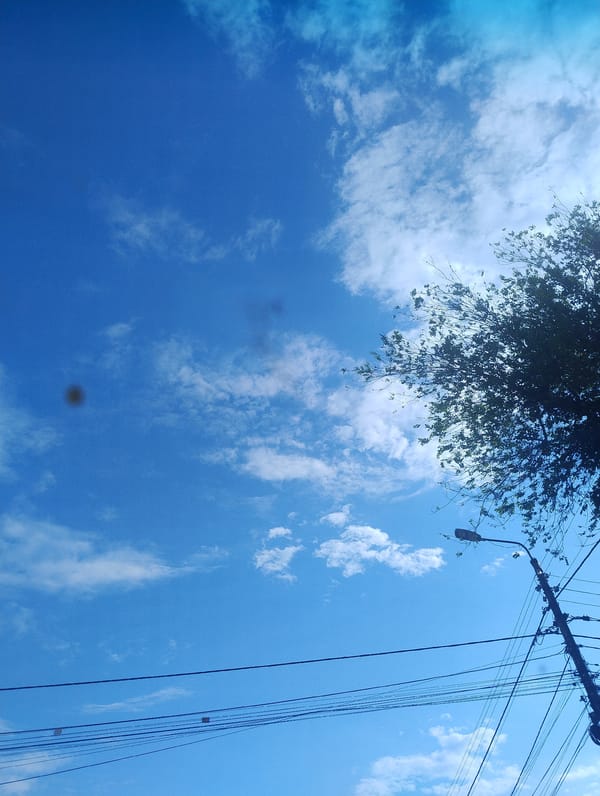 Person documents trees and sky during brief Kropyvnytskyi outing