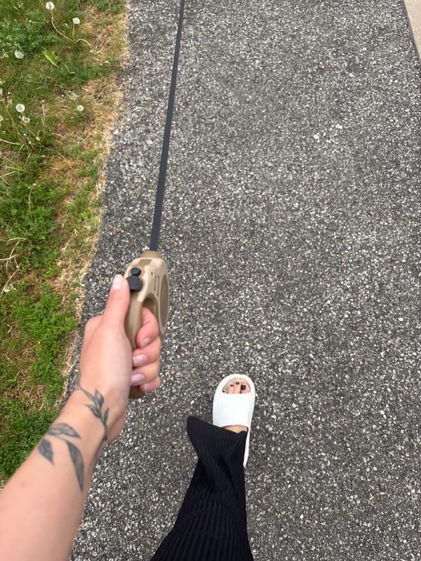 Dog walk through blooming Vishnevka village on cloudy afternoon