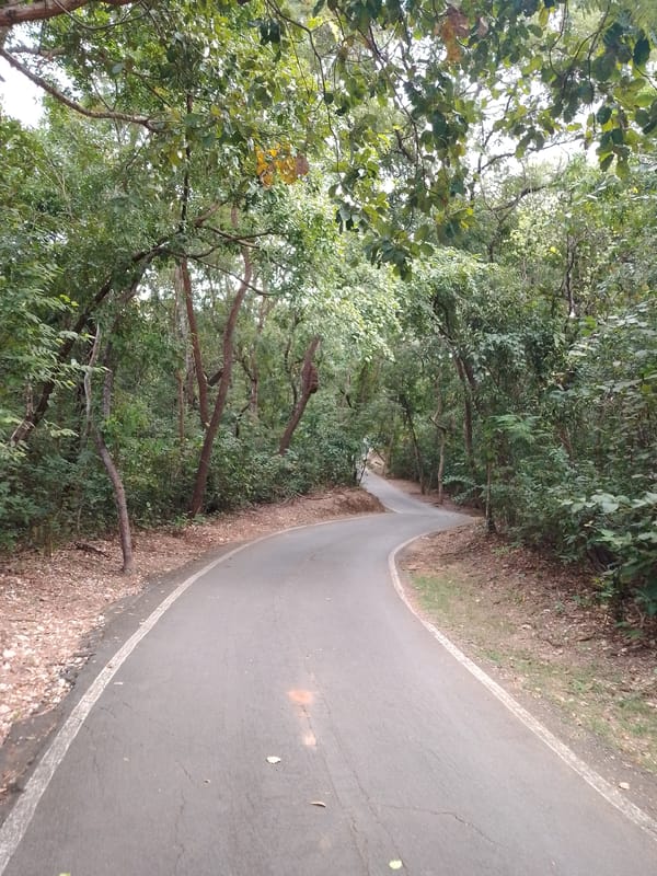 Cuiabá resident documents three-hour city walk through forests, cemeteries, streets