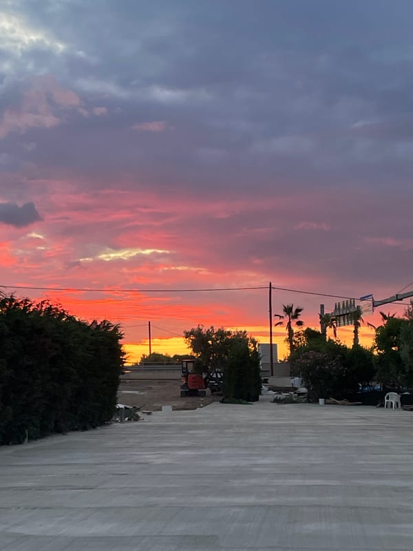 Sunset views and sleeping bulldog captured in Πόρτες, Greece