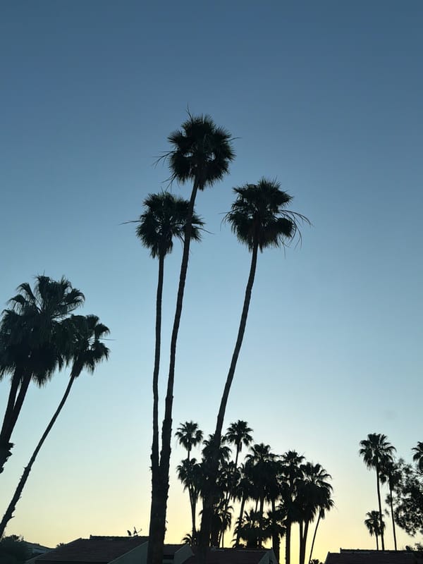 Scenic sunrise or sunset observed in Palm Springs