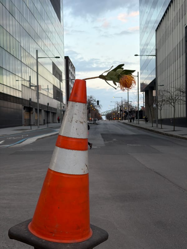 Evening street life documented across Montreal neighborhoods