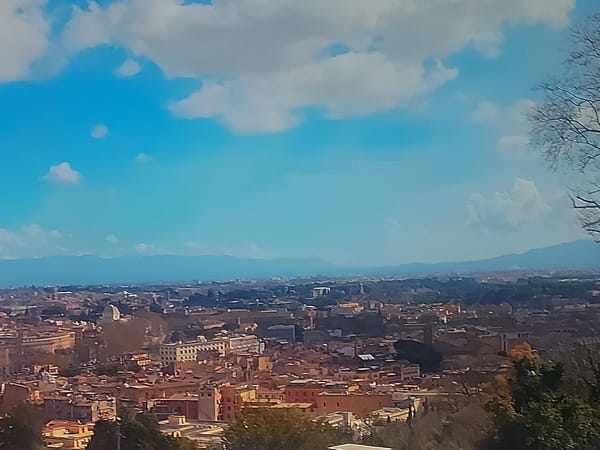 Evening panoramic view captured over Figueira da Foz cityscape