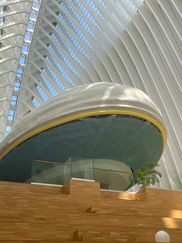 Visitor photographs City of Arts and Sciences interior architecture