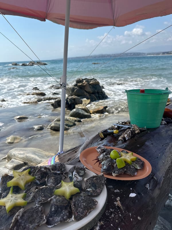 Beach oyster vendor serves fresh seafood at Brisas de Zicatela
